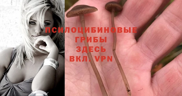 ALPHA-PVP Дмитриев