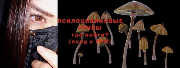 спайс Дмитровск