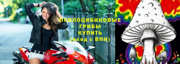 не бодяженный Ельня
