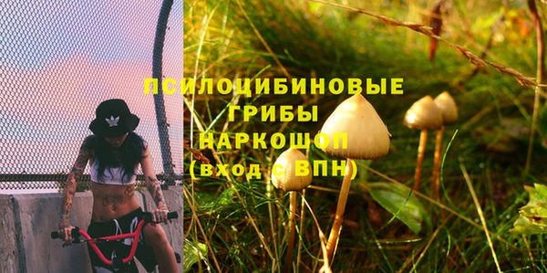 кокс Елизово