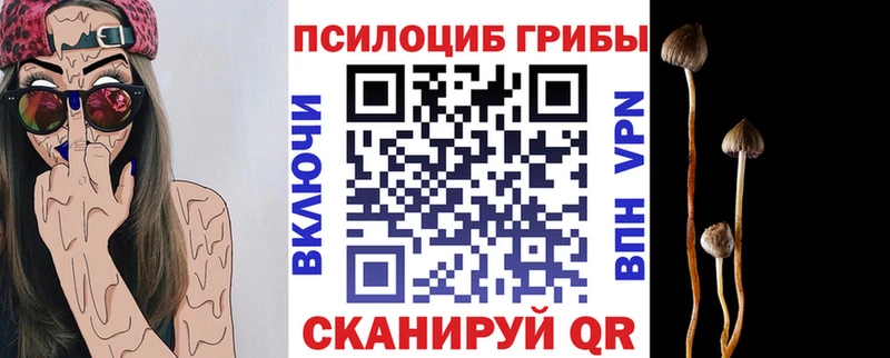 Купить закладки  Ленск  Псилоцибиновые грибы MAGIC MUSHROOMS 